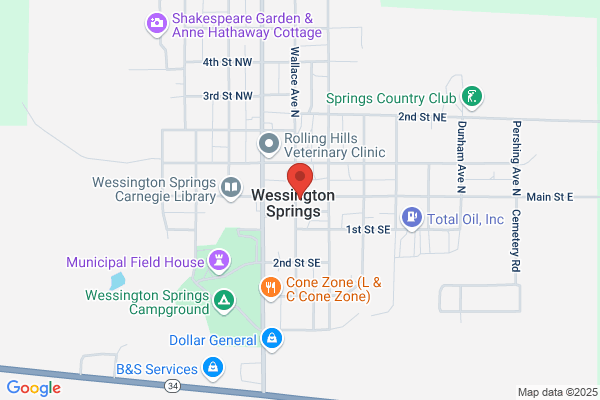Springs Inn Cafe