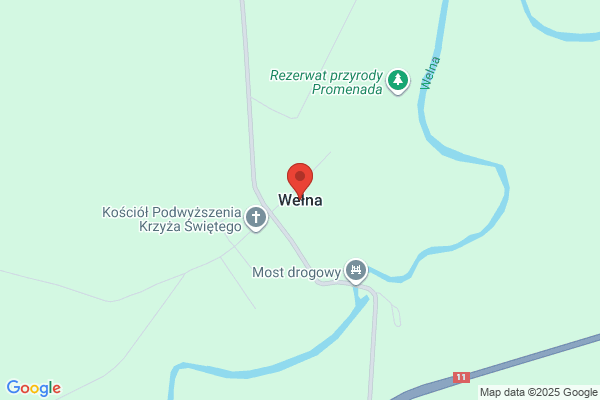 Welnak, Jeffrey W Dr