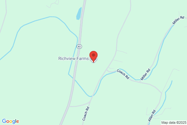 Dairy Rich Farms