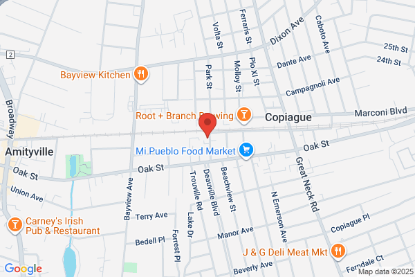Vista & Alegre Inc