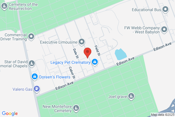 Long Island Medical Disposal Inc