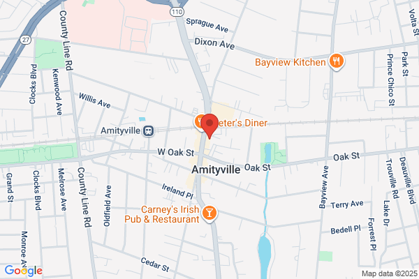 Family Medical Practice Of Li, P.C.