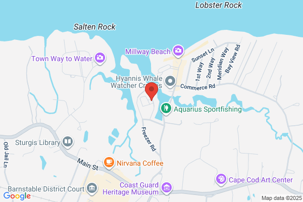 Barnstable Harbor Ventures Inc