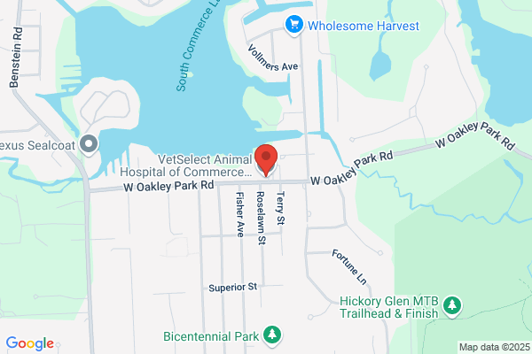 Vetselect Animal Hospital