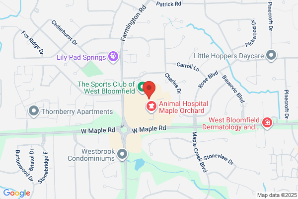 The Sports Club Physical Therapy of West Bloomfield