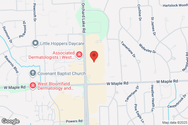 Toyology Toys - West Bloomfield