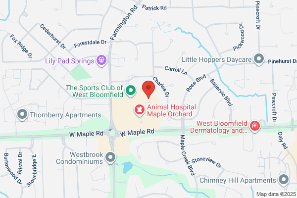 West Bloomfield Physical Therapy Inc.