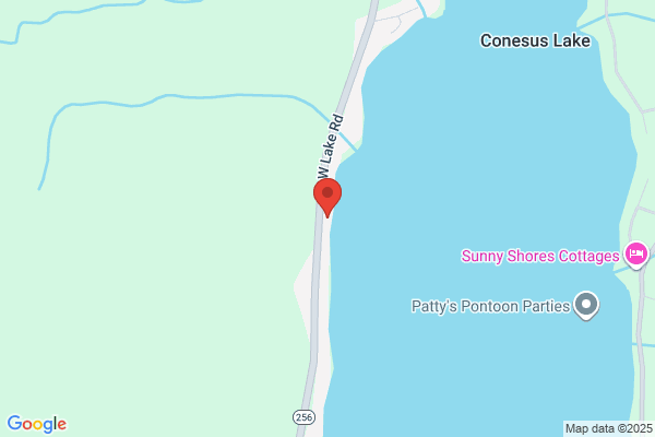 Conesus Associates Inc