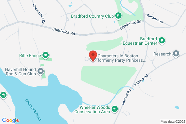 Party Princess Productions Boston