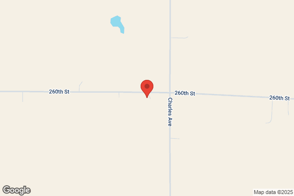 Red Buffalo Tree Service
