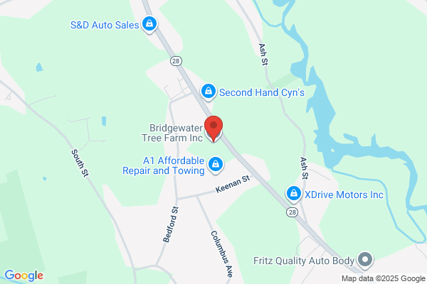 C Smith's Tree Service