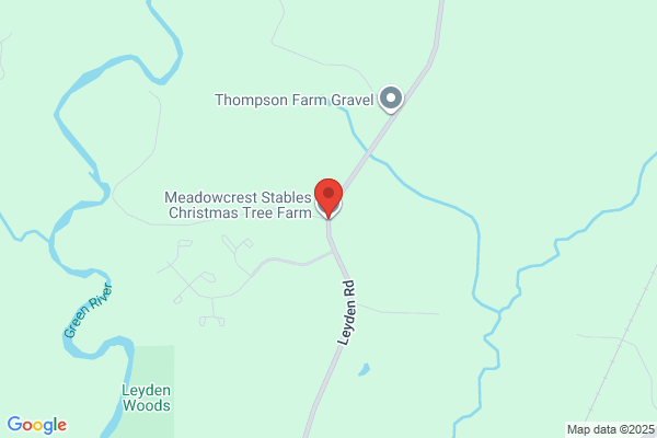 Christmas Meadow
