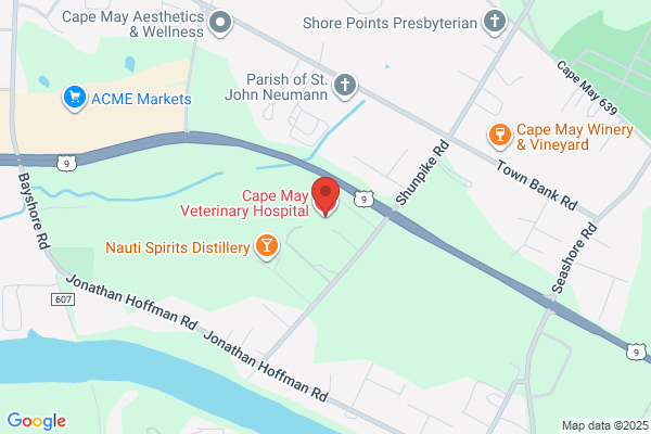 Cape May Veterinary Hospital