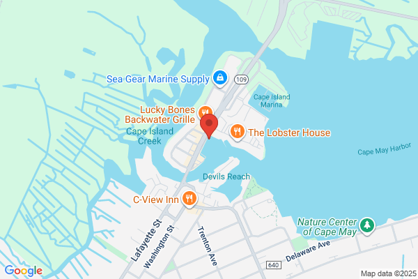 Cape May Whale & Dolphin Watching Research Center