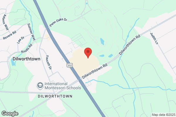 Dillworthtown Cleaners