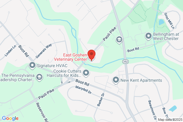 East Goshen Veterinary Hospital PC