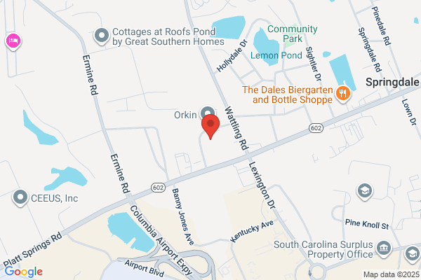 Consolidated Logistics Services Inc