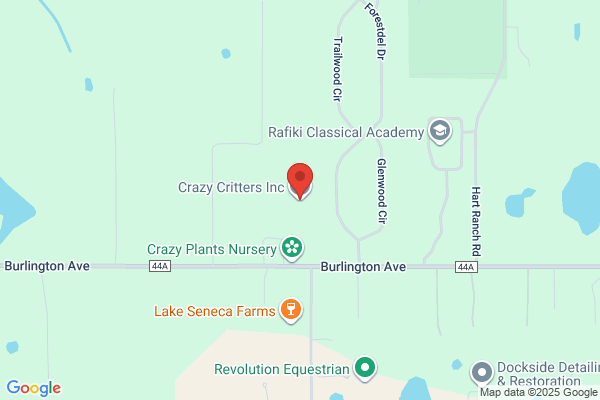 Crazy Critters LLC
