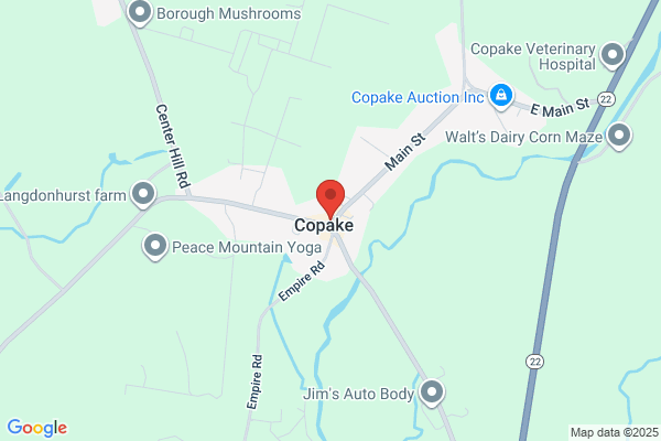 Copake General Store