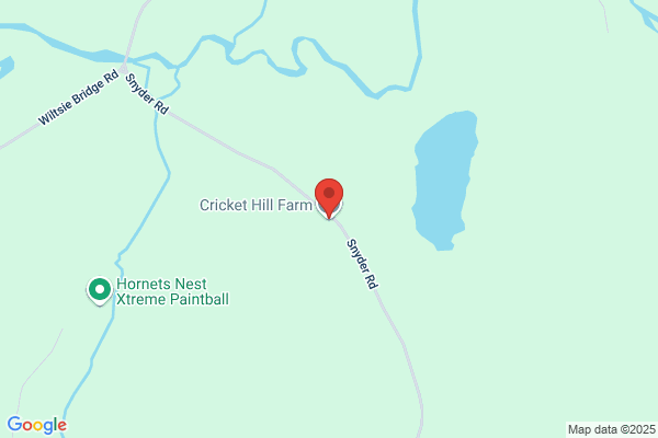 Cricket Hill