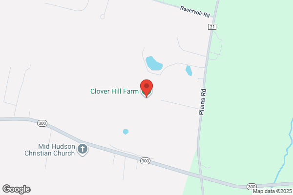 Clover Hill Forest Llc