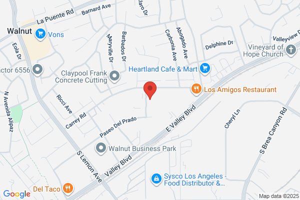 Lilliput Electronics USA Inc