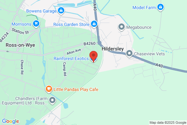 Rare Fish & Reptile Specialist