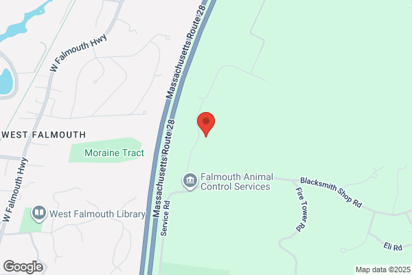Friends of Falmouth Dogs