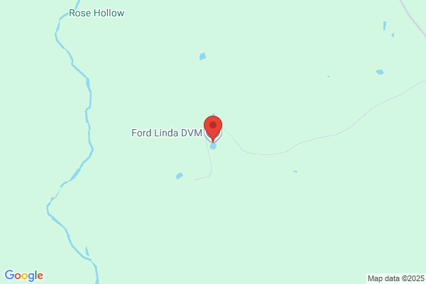 Ford Linda DVM