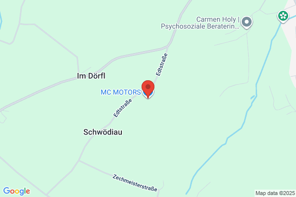 McGinity Motor