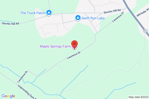 Maple Spring Farm Riding Center Inc