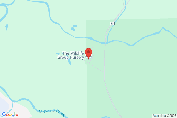 The Wildlife Group