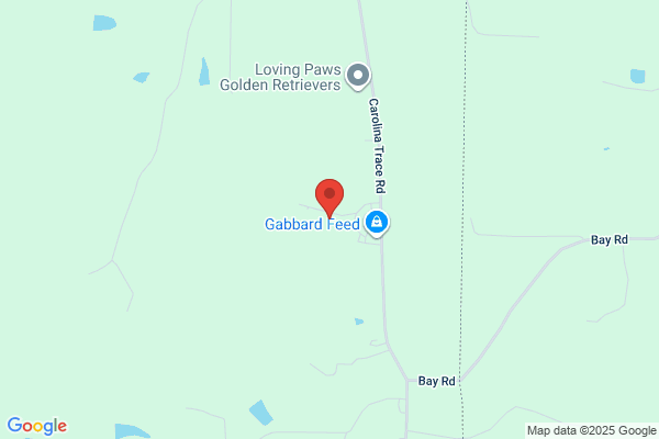 Gabbard Leo Trailer Rental & Feed