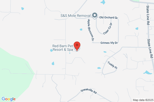Red Barn Pet Resort & Spa