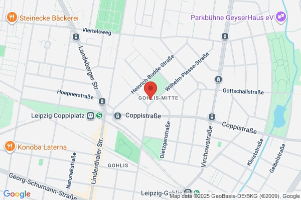 Wilhelm Steve