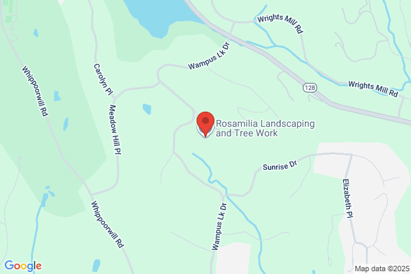 Rosamilia Danny Tree Care & Landscaping