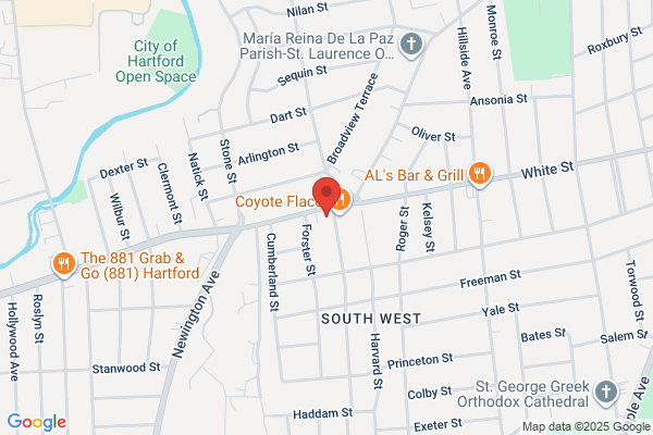 Steve's Electronics