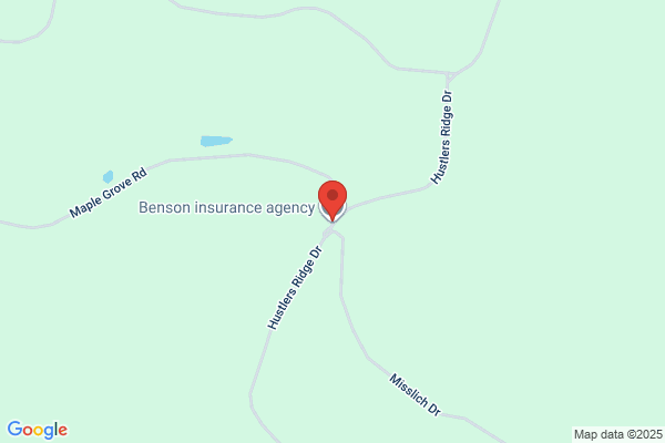 Benson Robert Insurance Services