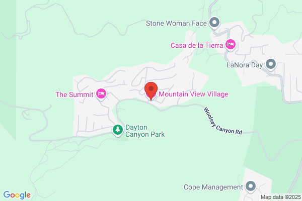 Mountain View Village