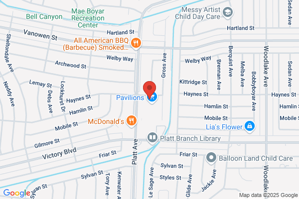 Hollywood Video