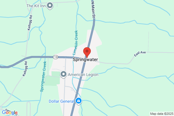 Springwater Book Imports Inc