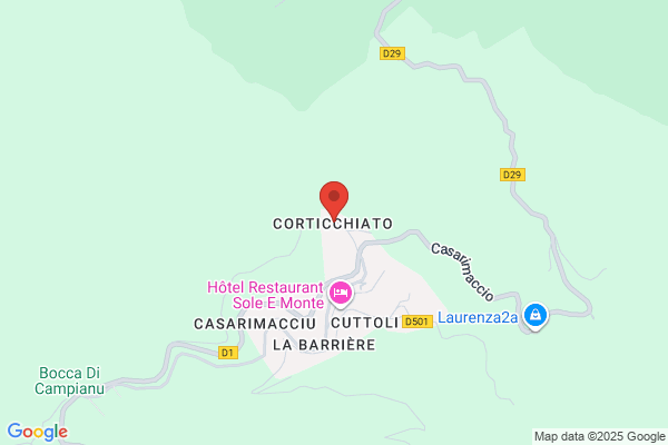 Jean M Cacciabaudo, MD