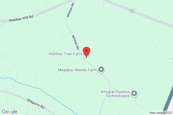 Holmes Tree Farm
