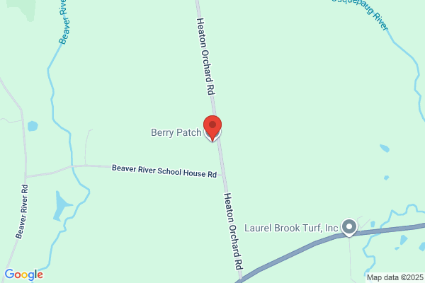 Berry Patch the