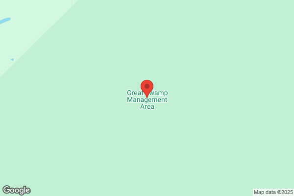 Great Swamp Graphics