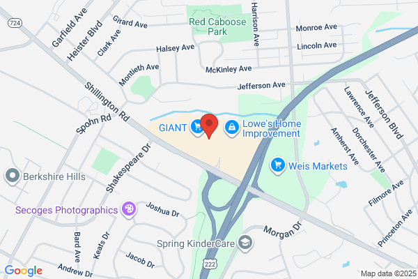 Advance Auto Parts