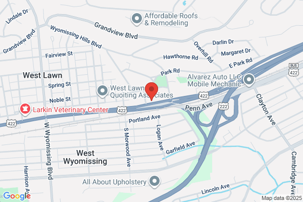Wolf Chiropractic