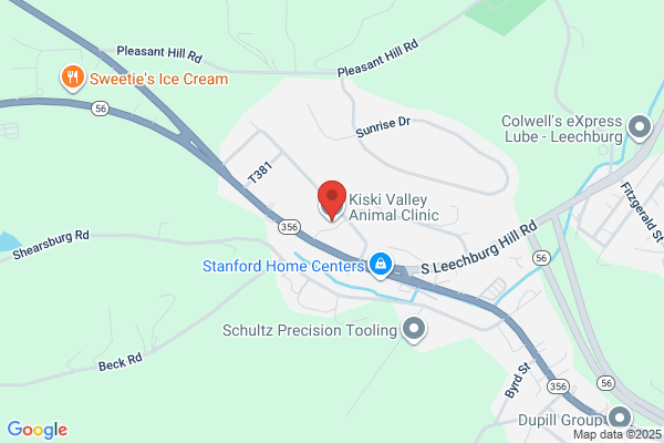 Kiski Valley Animal Clinic Inc