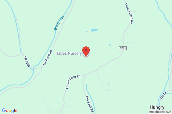 Habe Nursery