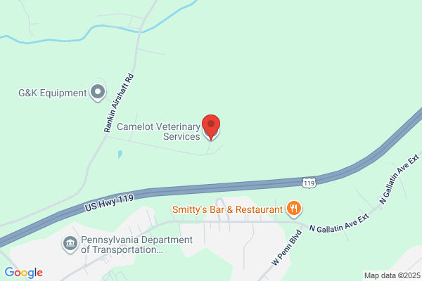 Camelot Veterinary Services